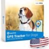 tractive gps pet tracker for dogs waterproof gps location smart activity