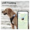 tractive gps pet tracker for dogs waterproof gps location smart activity 2
