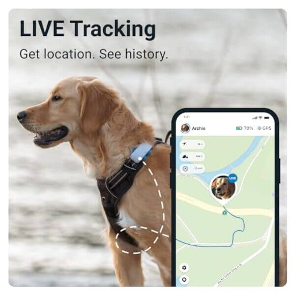 tractive gps pet tracker for dogs waterproof gps location smart activity 2