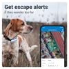 tractive gps pet tracker for dogs waterproof gps location smart activity 4